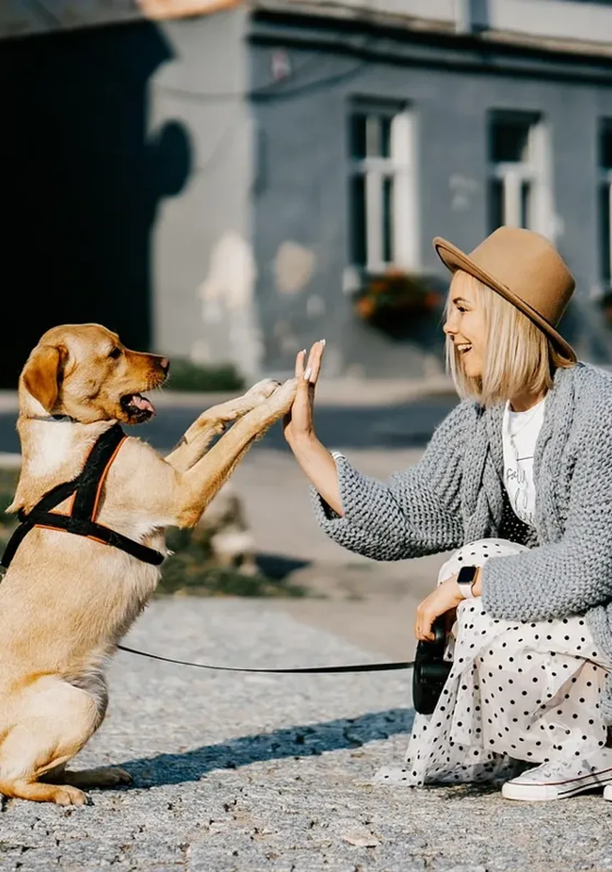 Por Que Meu Cachorro Espirra Tanto? 7 Causas e Soluções