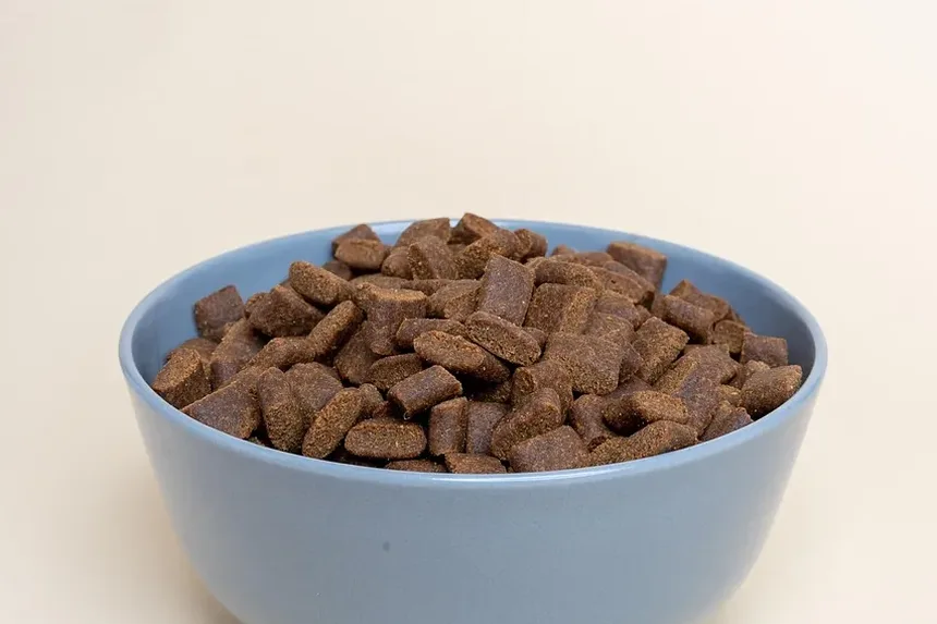 Melhor Alimentação para Cálculos na Bexiga em Cães: Um Guia Completo