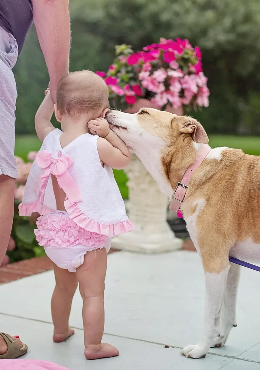 Como Cortar as Unhas do Cachorro: Direção e Técnica