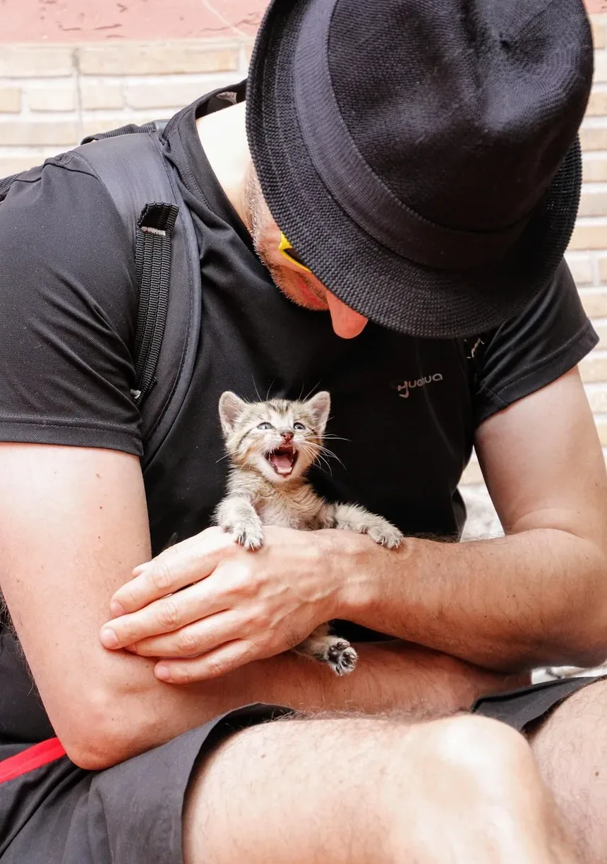 O Que Acontece Se Gatos Comerem Hera-Veneno
